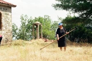 ΦΩΤΟ 2014