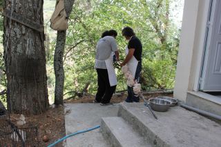 ΦΩΤΟ 2012