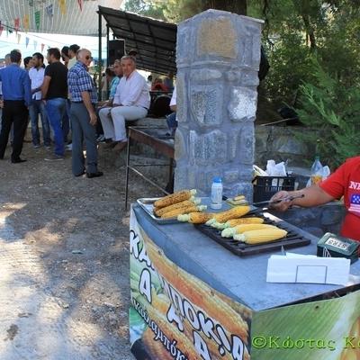 Img 9838