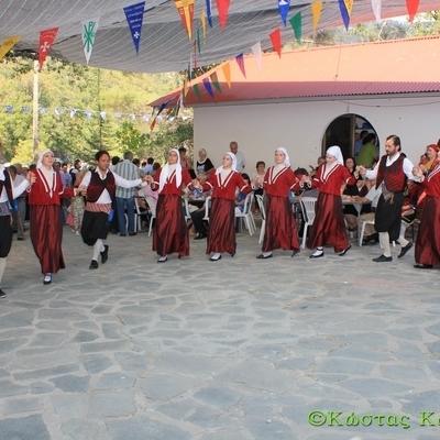 Img 9858
